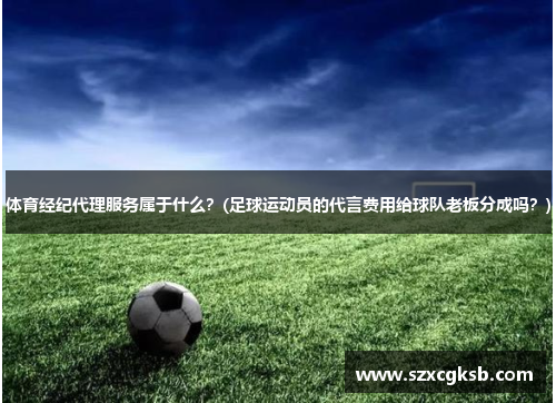 体育经纪代理服务属于什么？(足球运动员的代言费用给球队老板分成吗？)