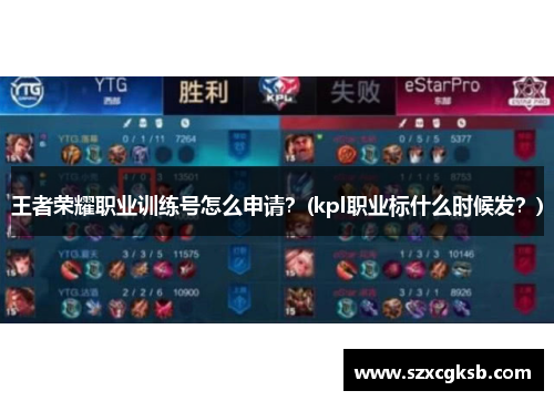 王者荣耀职业训练号怎么申请？(kpl职业标什么时候发？)